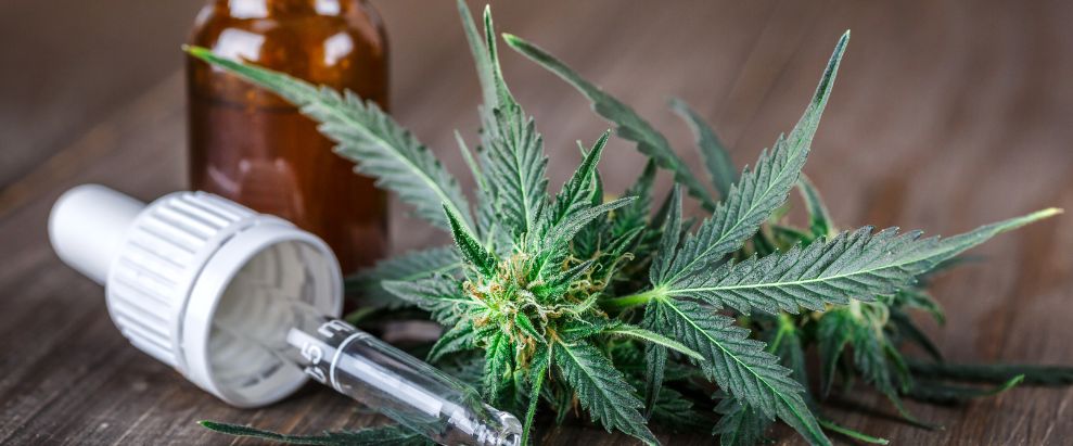 ¿Por qué es tan peligrosa la marihuana sintética? ¿Por qué es tan peligrosa la marihuana sintética?