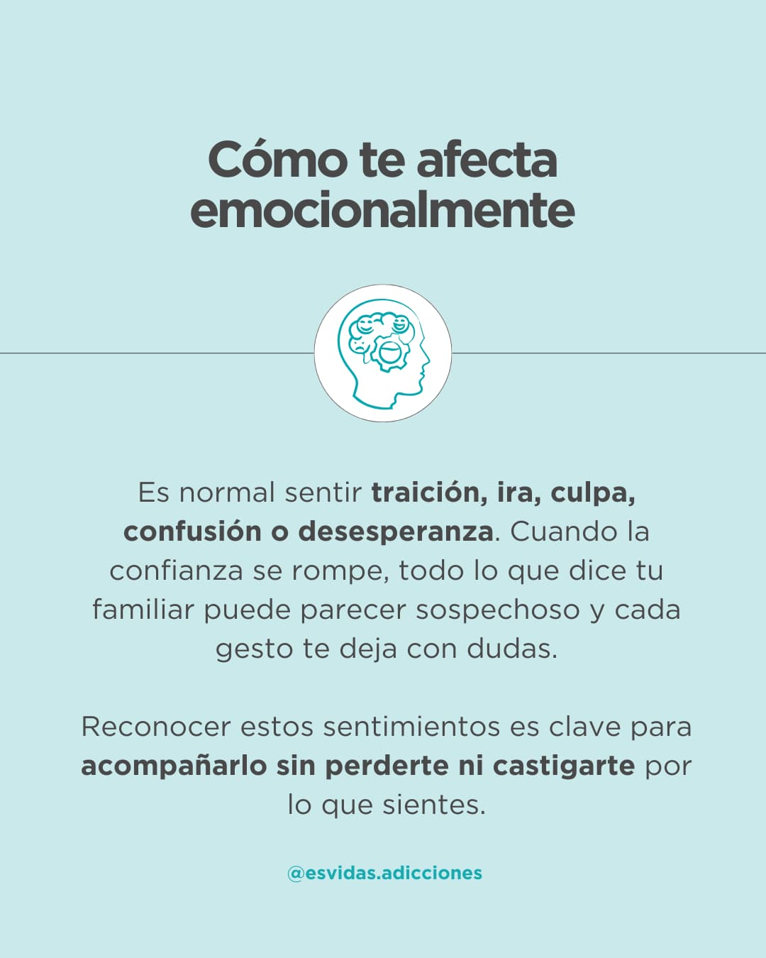 Cómo actuar si descubro que mi familiar me ha mentido sobre su adicción | Esvidas Cómo actuar si descubro que mi familiar me ha mentido sobre su adicción