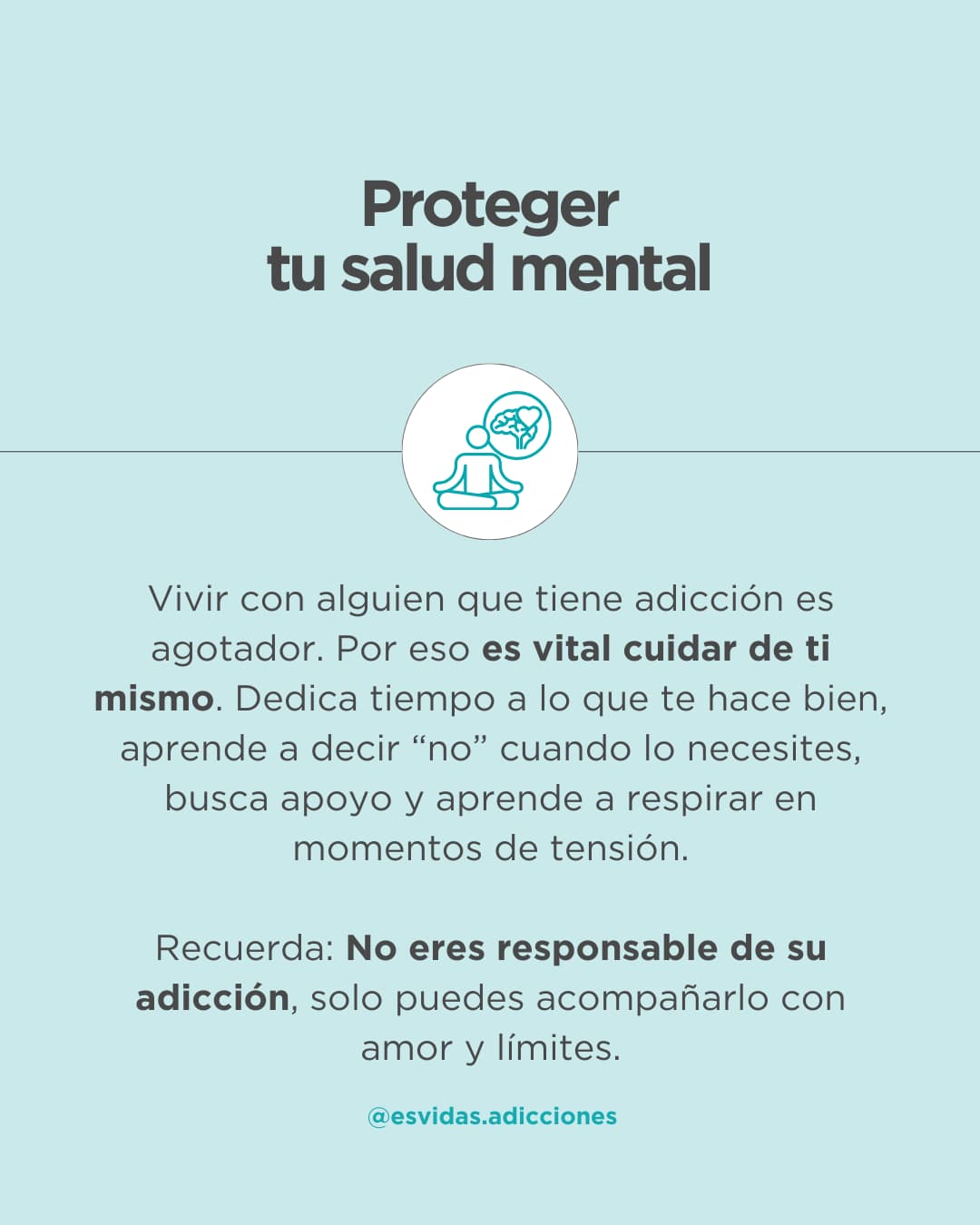 Cómo actuar si descubro que mi familiar me ha mentido sobre su adicción | Esvidas Cómo actuar si descubro que mi familiar me ha mentido sobre su adicción
