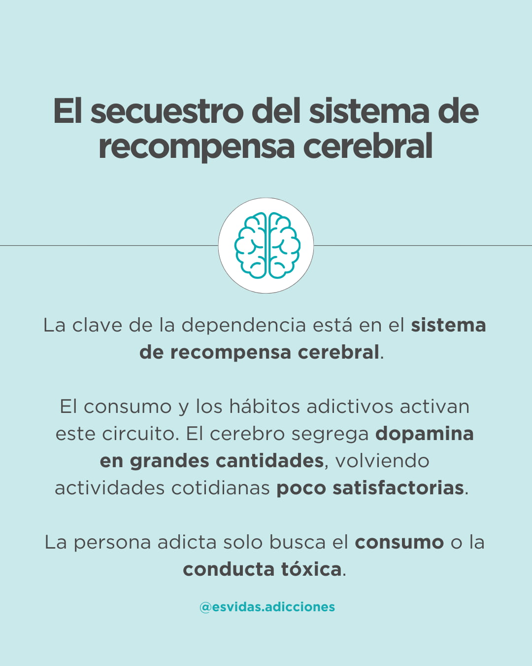 ¿Qué es la adicción y por qué está considerada como enfermedad? | Esvidas ¿Qué es la adicción y por qué está considerada como enfermedad?