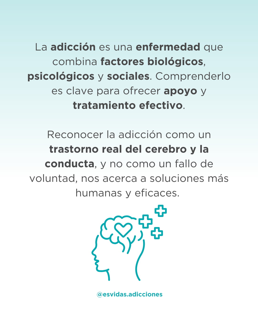 ¿Qué es la adicción y por qué está considerada como enfermedad? | Esvidas ¿Qué es la adicción y por qué está considerada como enfermedad?