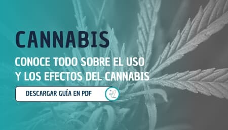Guía Cannabis