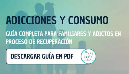 Descargar guía en pdf | Esvidas Descargar guía en pdf