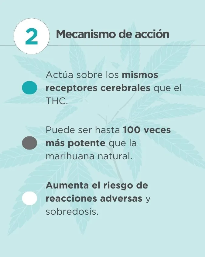 La verdad sobre la marihuana sintética: Lo que nadie te cuenta | Esvidas La verdad sobre la marihuana sintética: Lo que nadie te cuenta