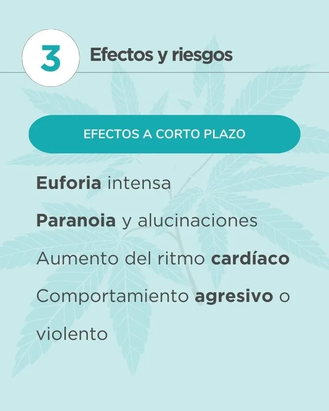 La verdad sobre la marihuana sintética: Lo que nadie te cuenta | Esvidas La verdad sobre la marihuana sintética: Lo que nadie te cuenta