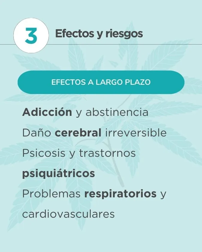 La verdad sobre la marihuana sintética: Lo que nadie te cuenta | Esvidas La verdad sobre la marihuana sintética: Lo que nadie te cuenta