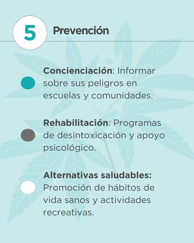La verdad sobre la marihuana sintética: Lo que nadie te cuenta | Esvidas La verdad sobre la marihuana sintética: Lo que nadie te cuenta