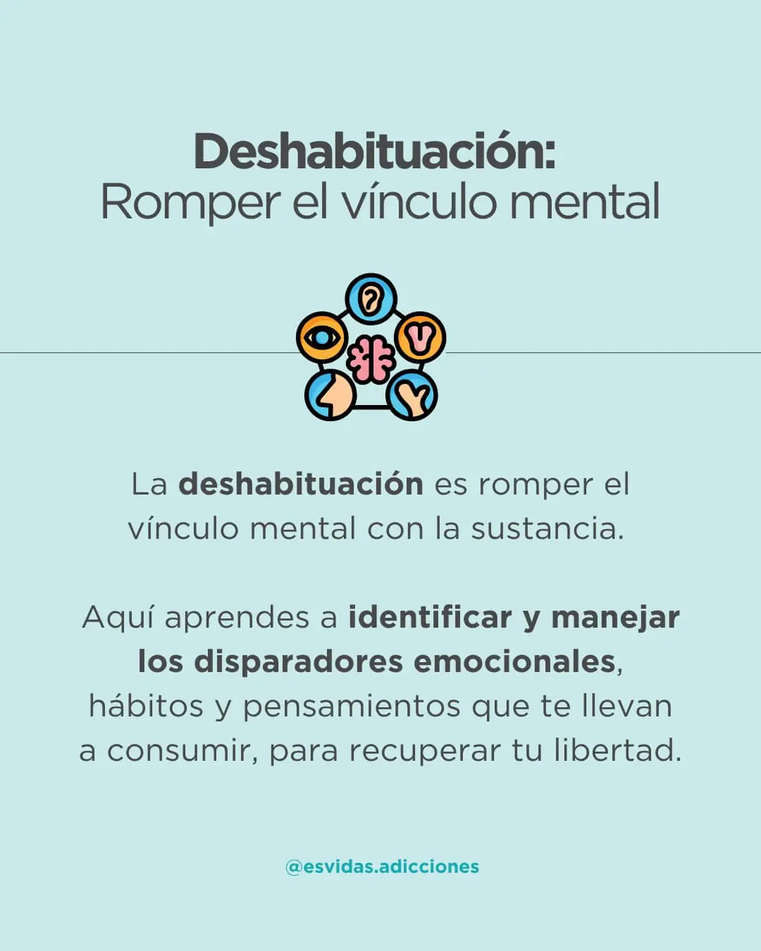 Diferencias entre desintoxicación, dehabituación y rehabilitación de una adicción | Esvidas Diferencias entre desintoxicación, dehabituación y rehabilitación de una adicción
