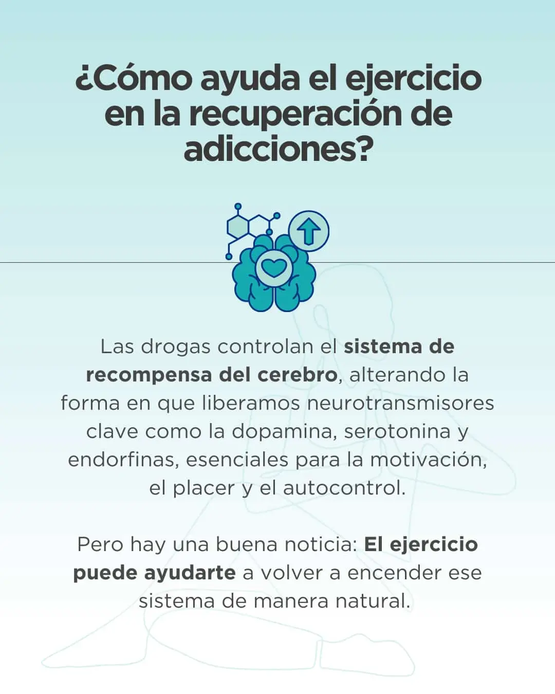 Todo lo que necesitas saber sobre el ejercicio físico y las adicciones | Esvidas El ejercicio físico como terapia: La clave para superar la adicción